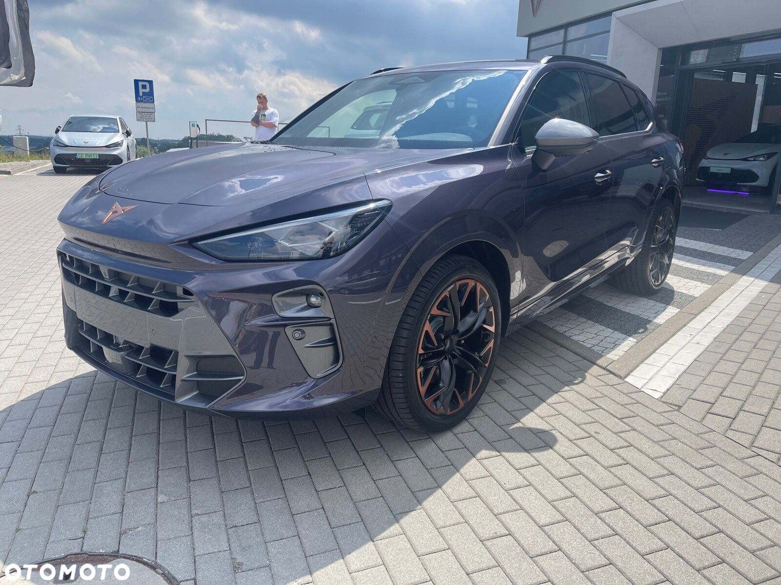 Cupra Terramar - 4