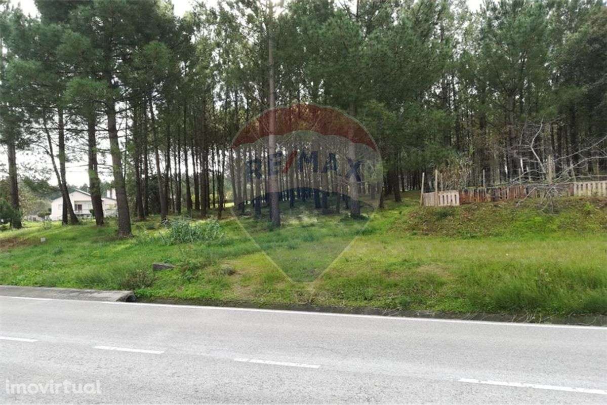 Terreno  para venda - Grande imagem: 3/20