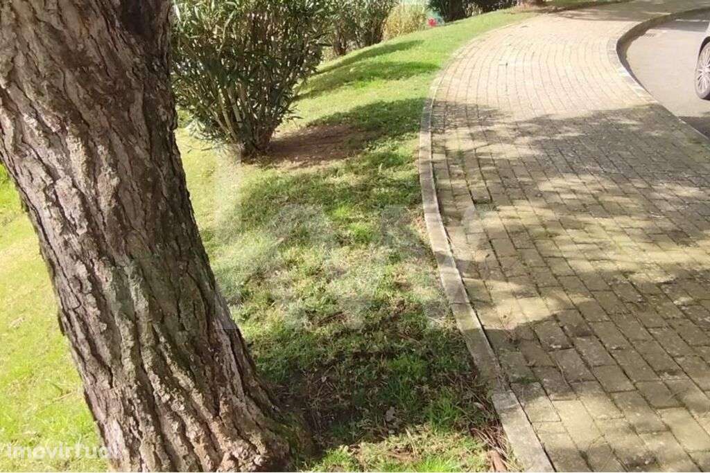 Venda de terreno para construção de lar, em Pedra Alta, Monte Estori - Grande imagem: 4/50