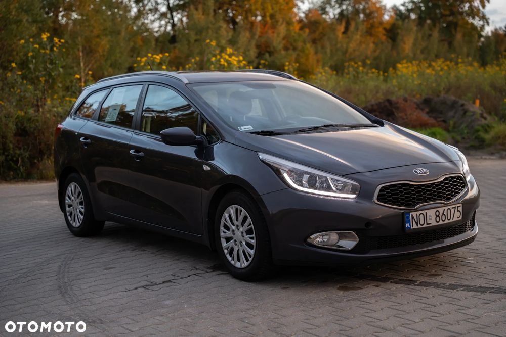 Kia Ceed - 1