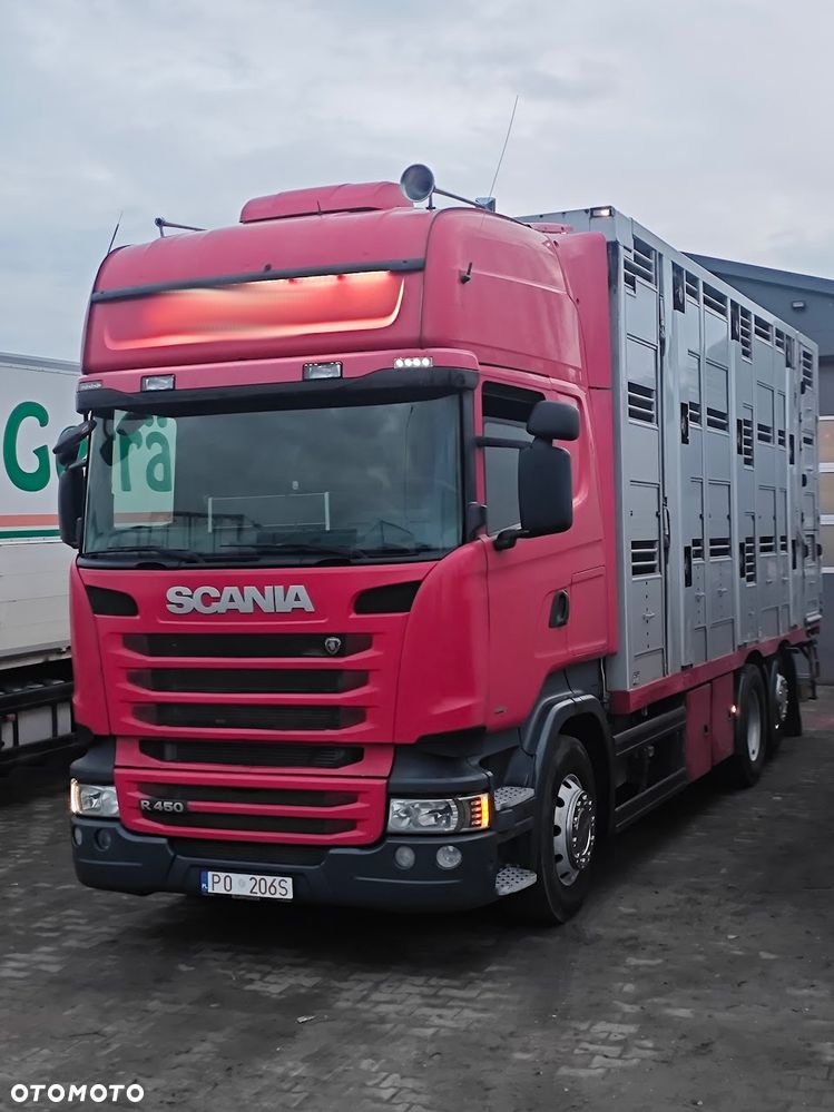Scania R450 * do żywca * do bydła * świniarka *do trzody - 2