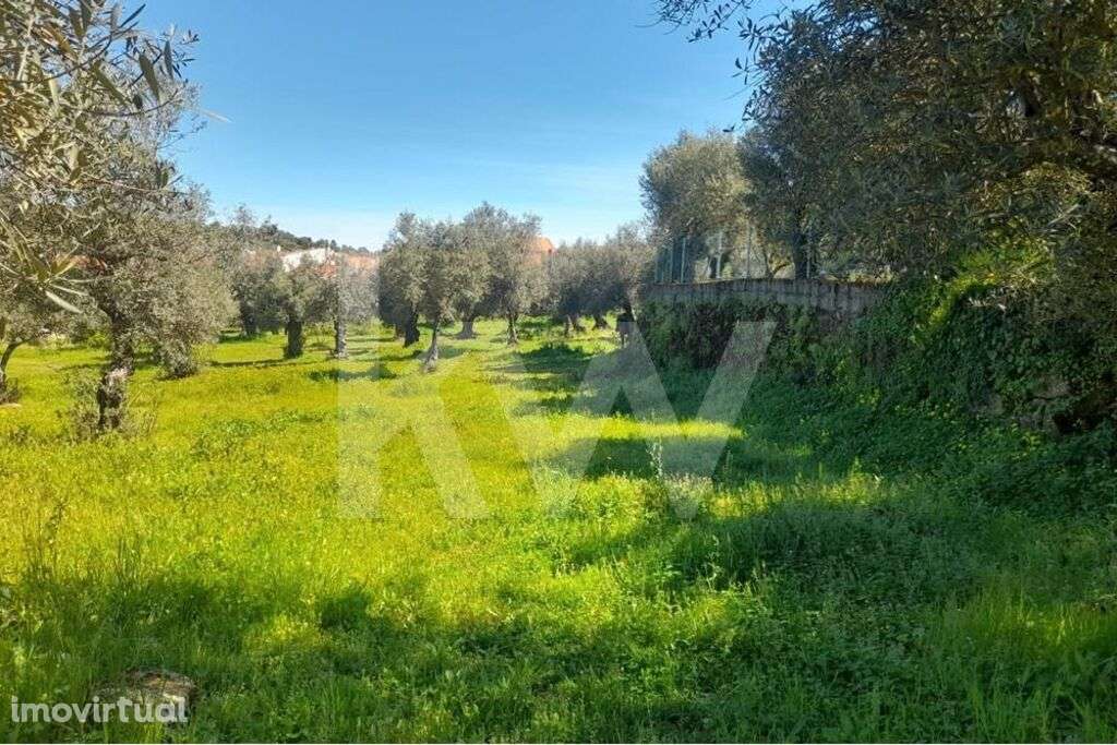 Terreno Rústico em Presa, freguesia de Aranhas, Penamacor, com 4800m2. - Grande imagem: 2/12