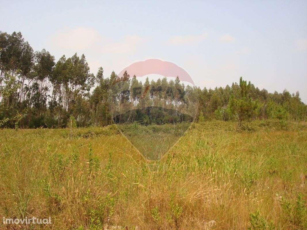 Terreno  para venda - Grande imagem: 2/11