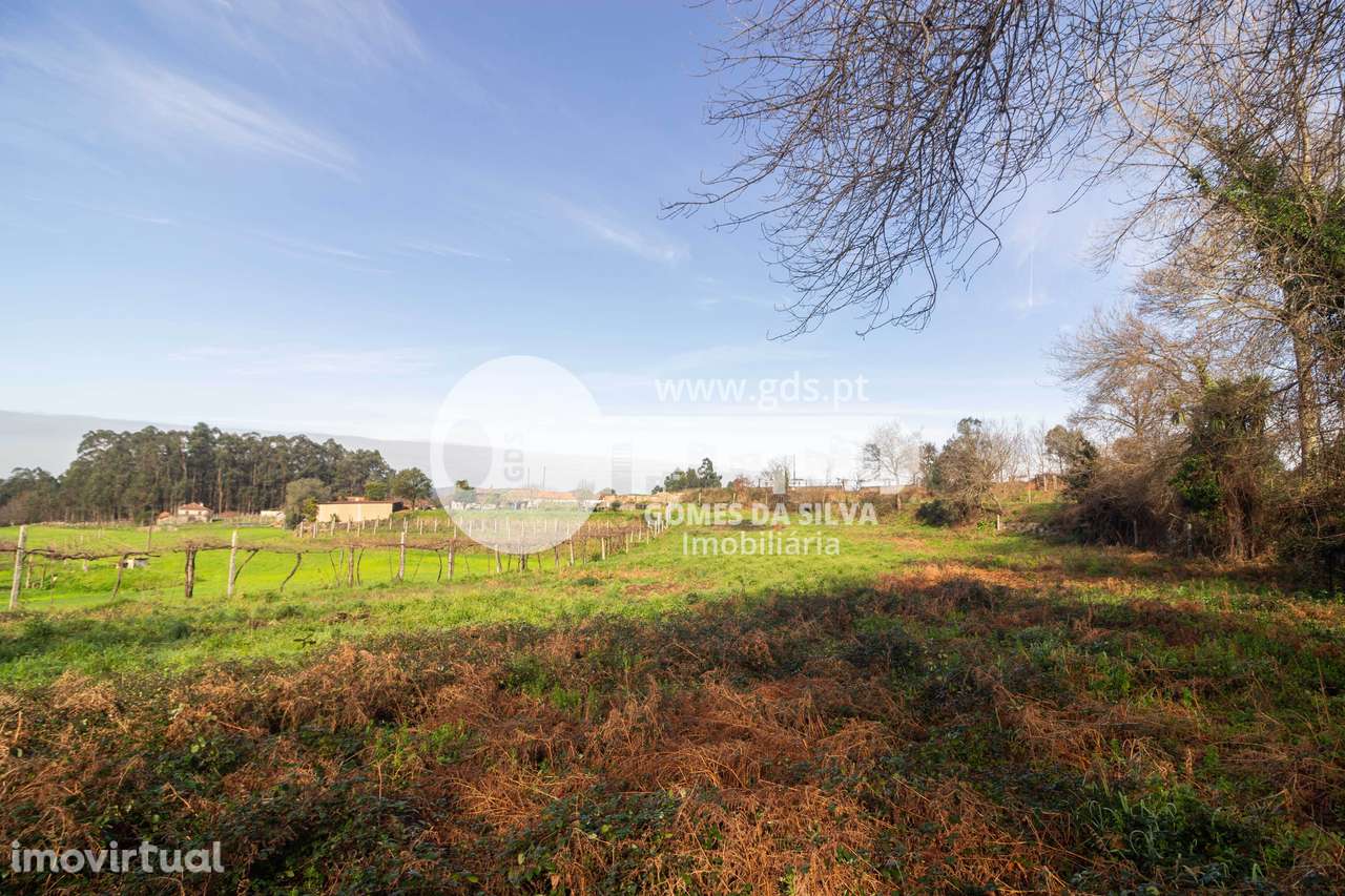 Terreno Agrícola em Vale São Martinho, Vila Nova de Famalicão - Grande imagem: 4/16