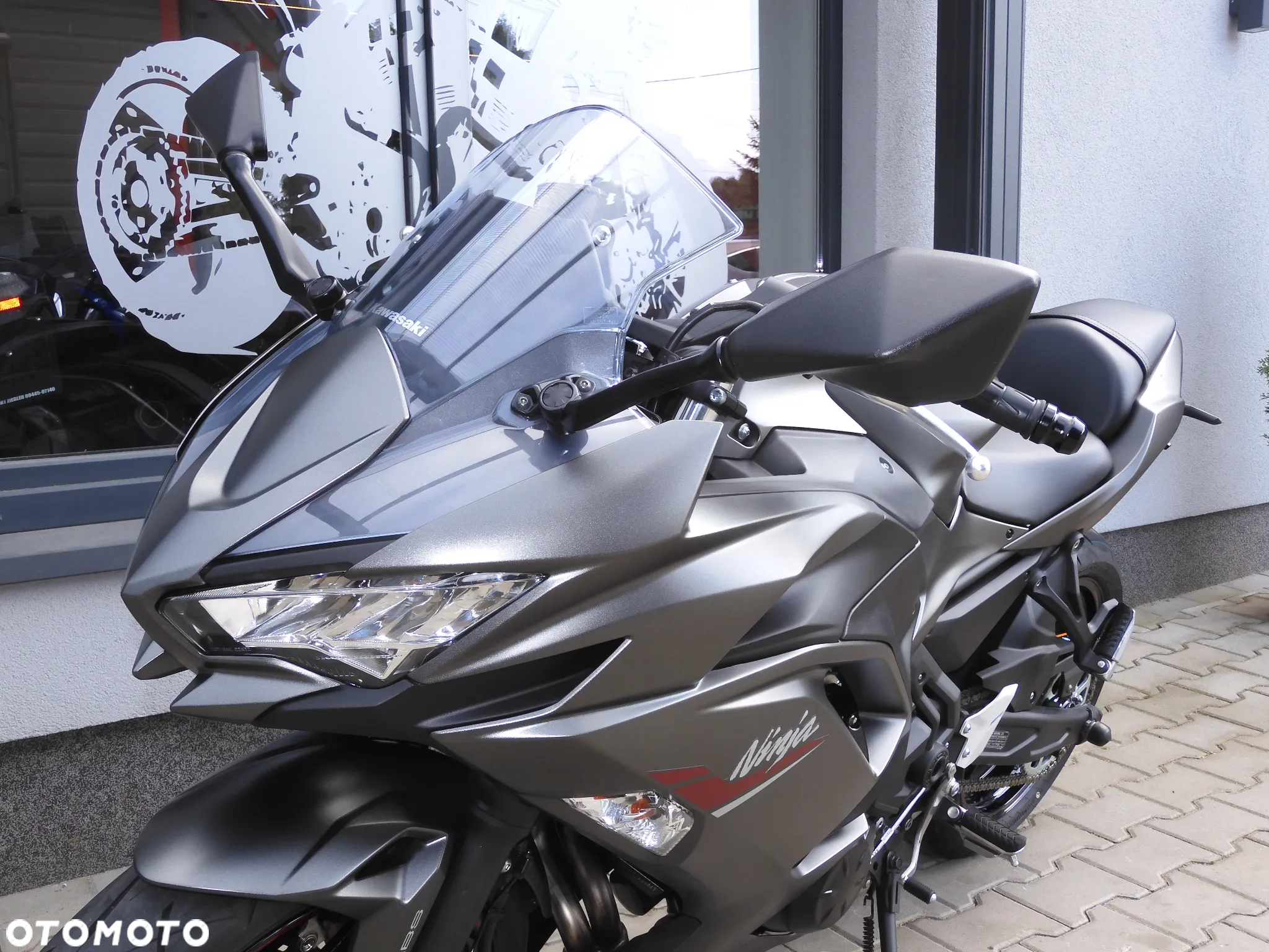 Kawasaki Ninja - 20