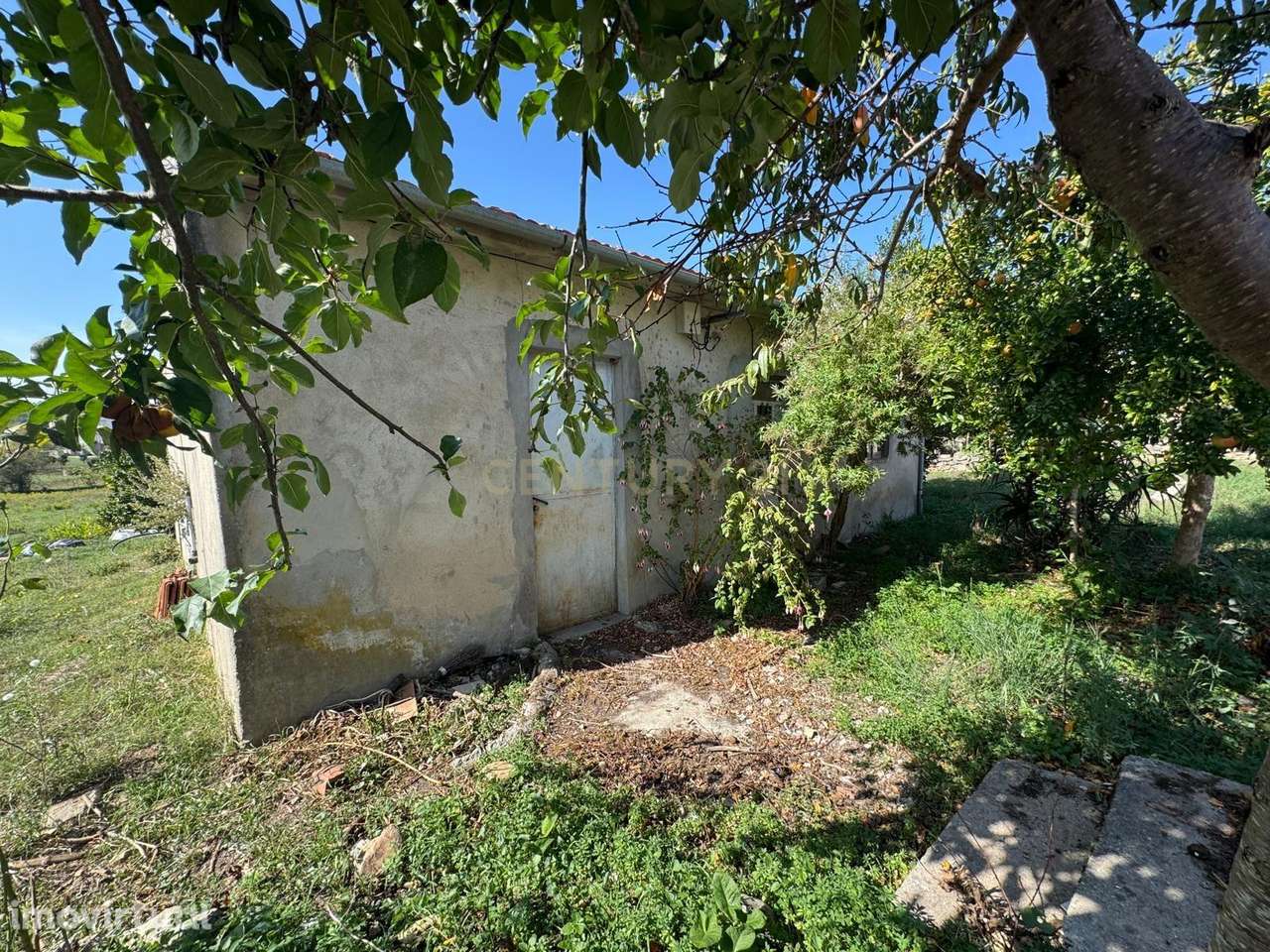 Moradia T2 || Pombal || Santiago de Litém - Grande imagem: 4/25