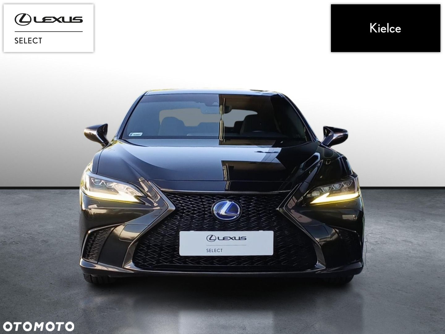 Lexus ES 300h F Sport Edition - 8