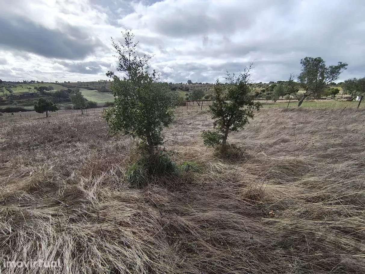 Terreno com dependência agricola - Grande imagem: 5/14