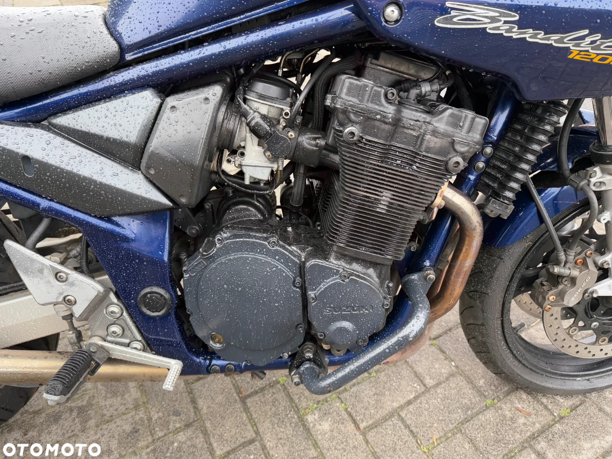Suzuki Bandit - 22