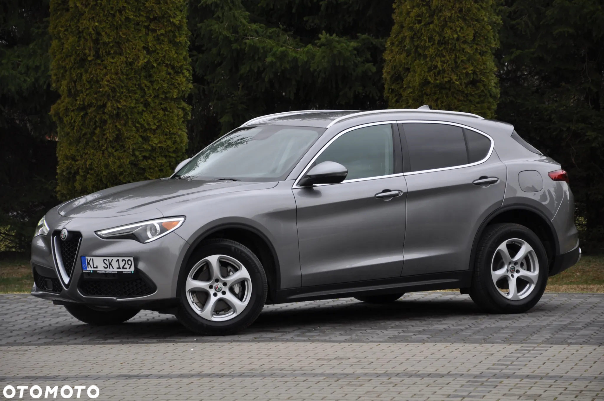 Alfa Romeo Stelvio 2.0 Turbo 16V AT8-Q4 Executive - 2