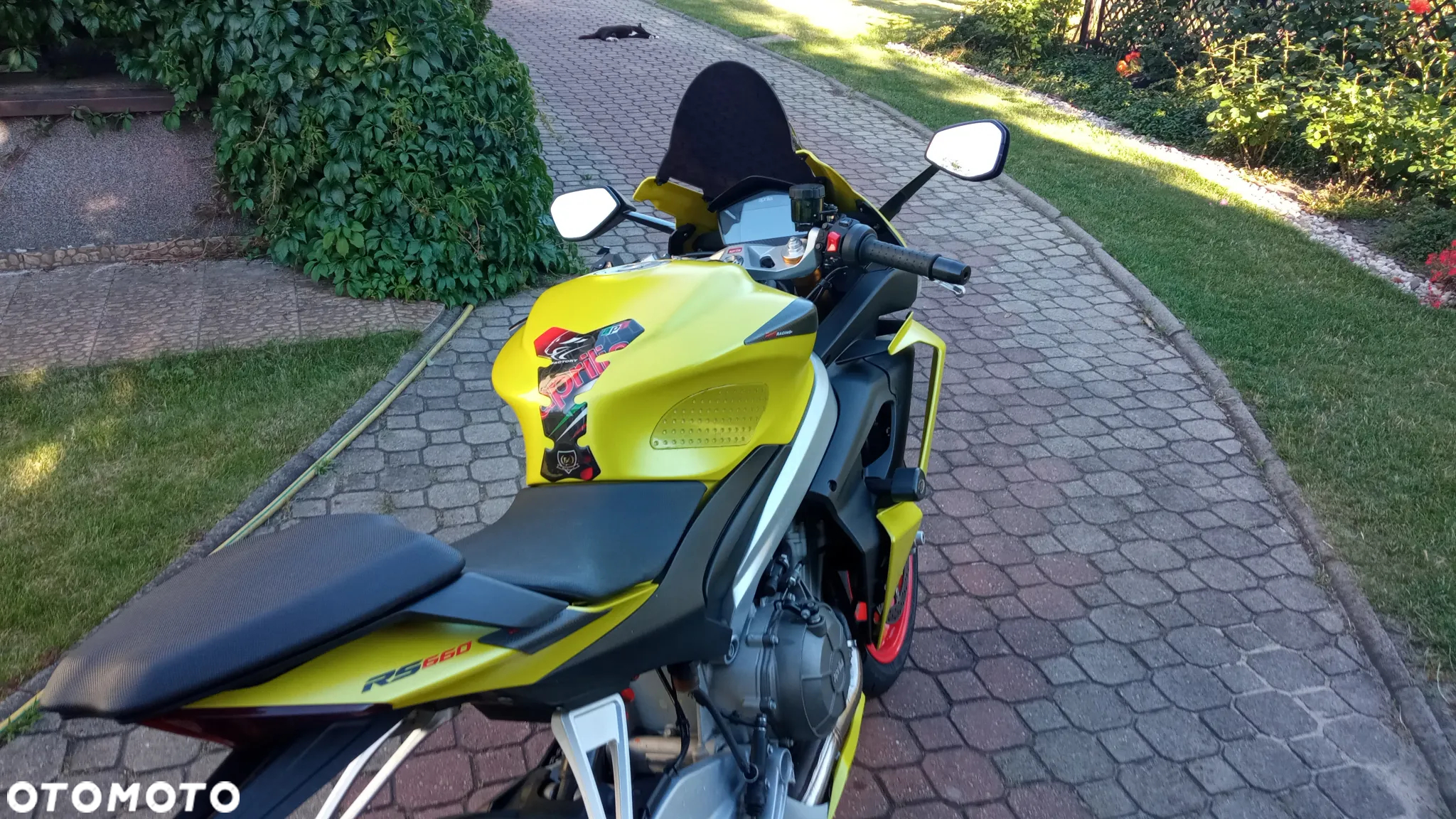 Aprilia RS - 6
