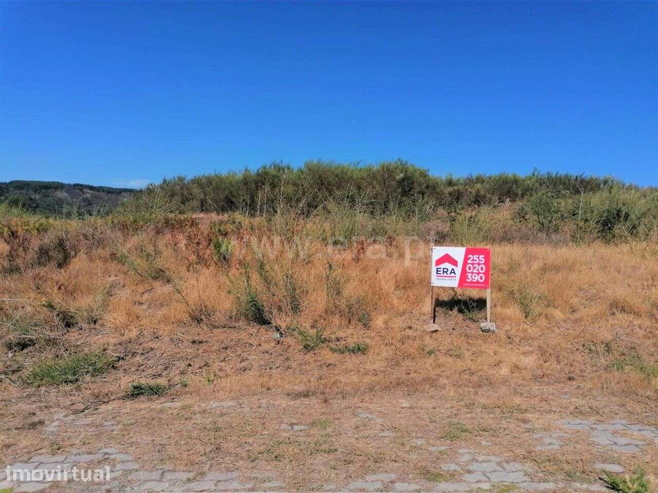 Terreno para Construção / Baião, Grilo - Grande imagem: 2/4