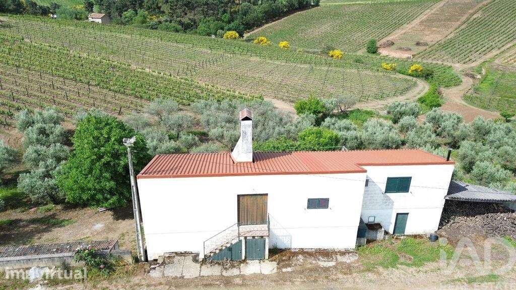 Terreno Agrícola em Castedo e Cotas - Grande imagem: 2/30