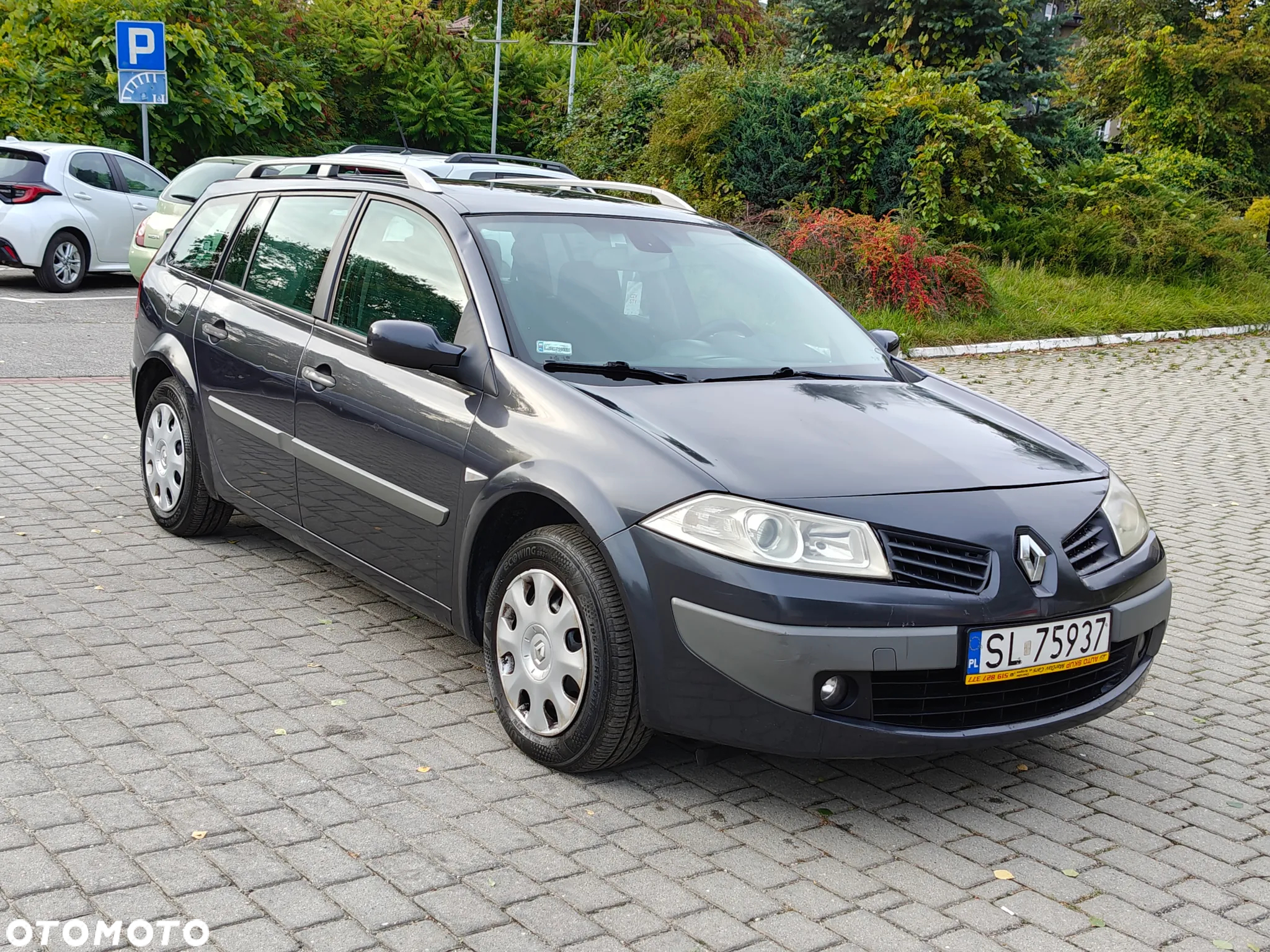 Renault Megane II 1.9 dCi Confort Authentique - 14