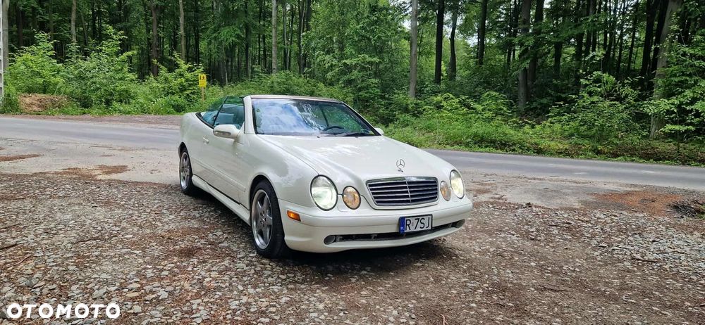 Mercedes-Benz CLK 430 - 14