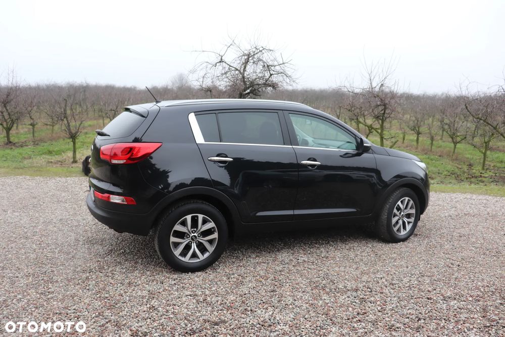 Kia Sportage 1.6 GDI Business Line L 2WD - 14