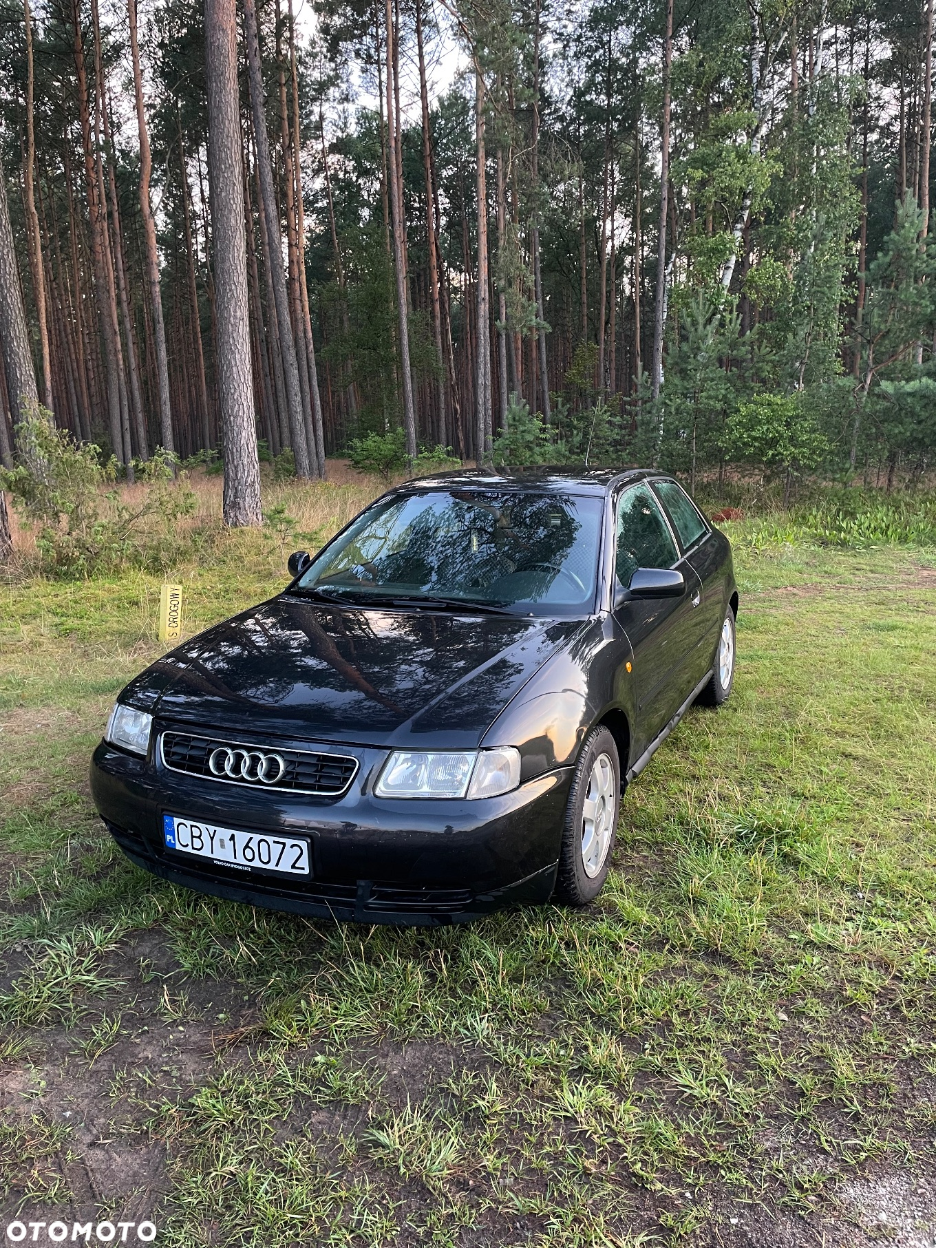 Audi A3 - 5