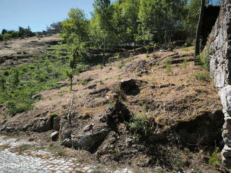 Terreno para venda, em Sanche, com 2736m2 - Grande imagem: 5/12