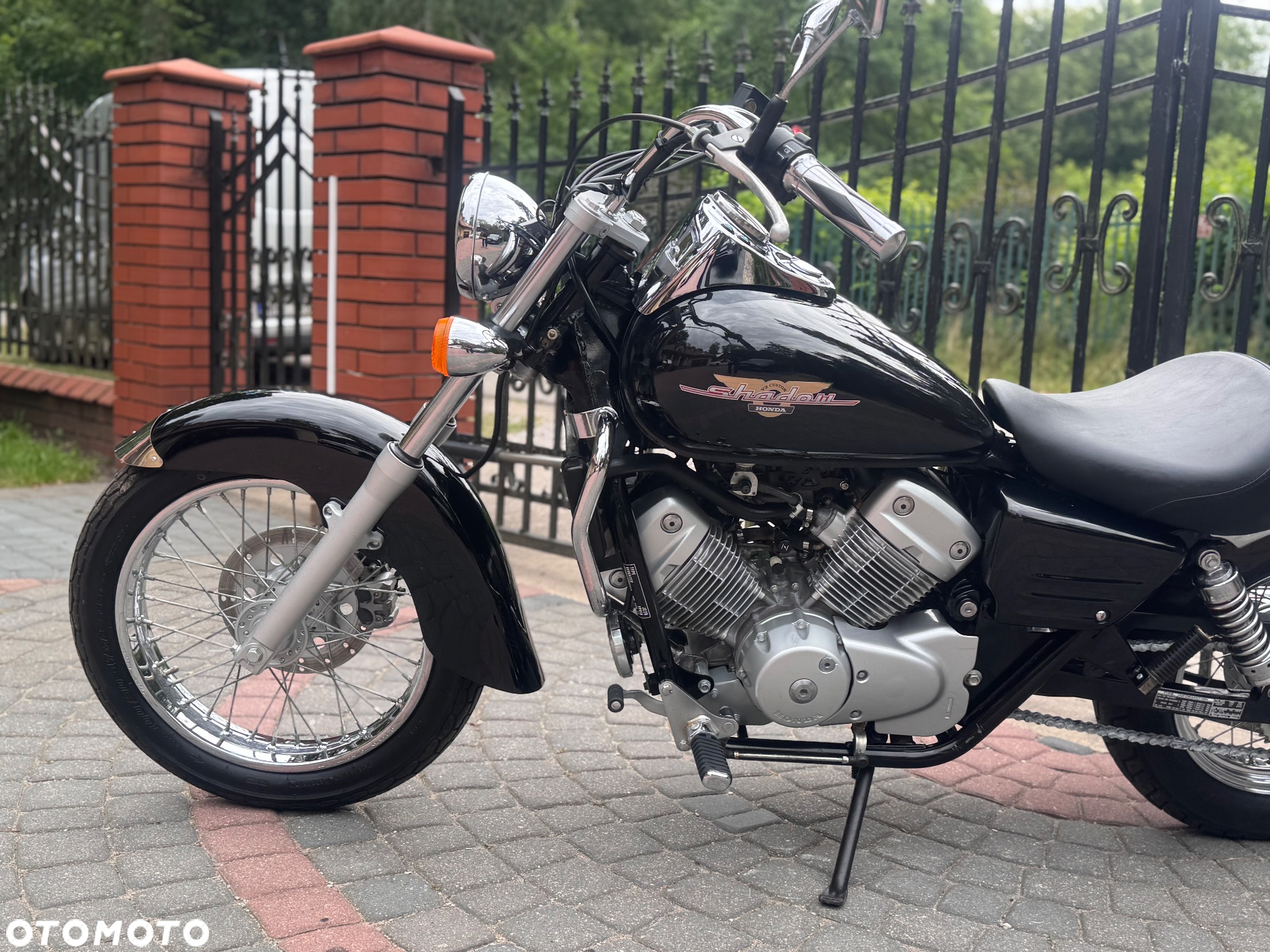 Honda VT - 19