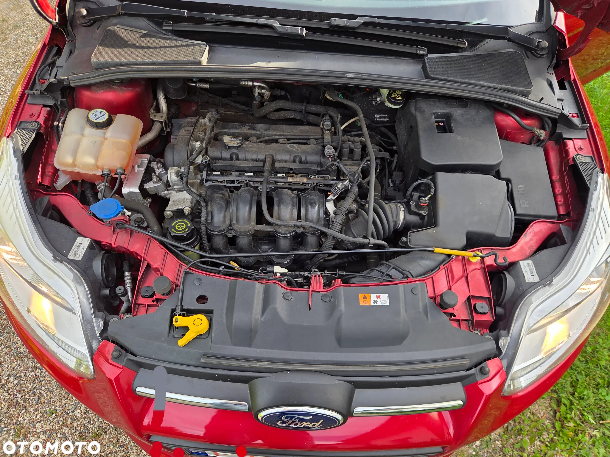 Ford Focus - 10