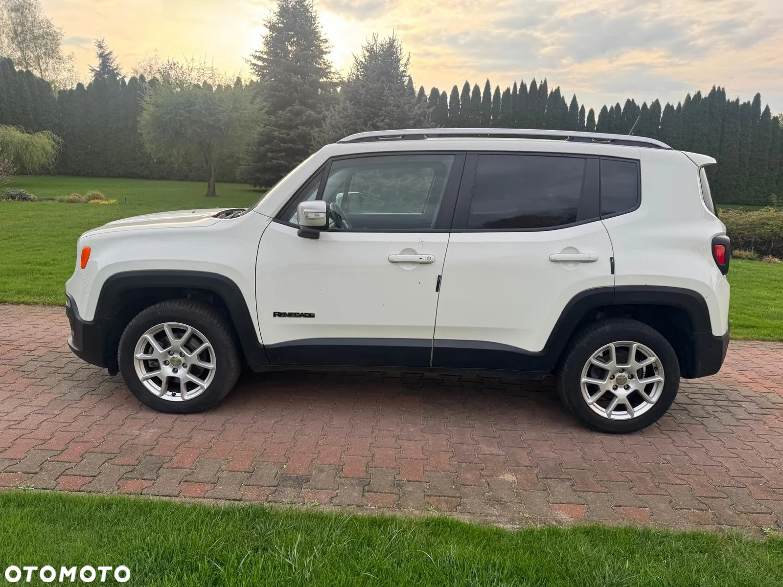 Jeep Renegade 2.0 MultiJet Limited 4WD S&S - 16