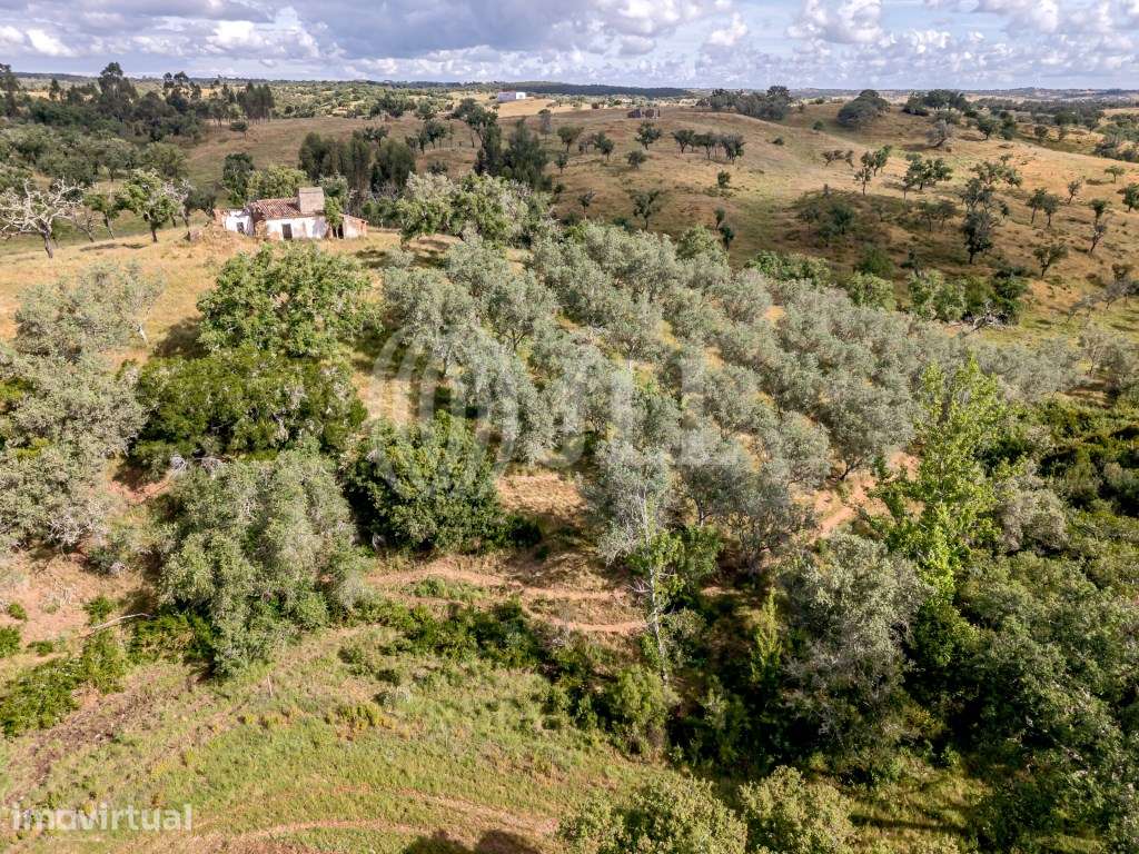 Terreno com 4 hectares na Serra de Grândola, Santiago do Cacém - Grande imagem: 5/27