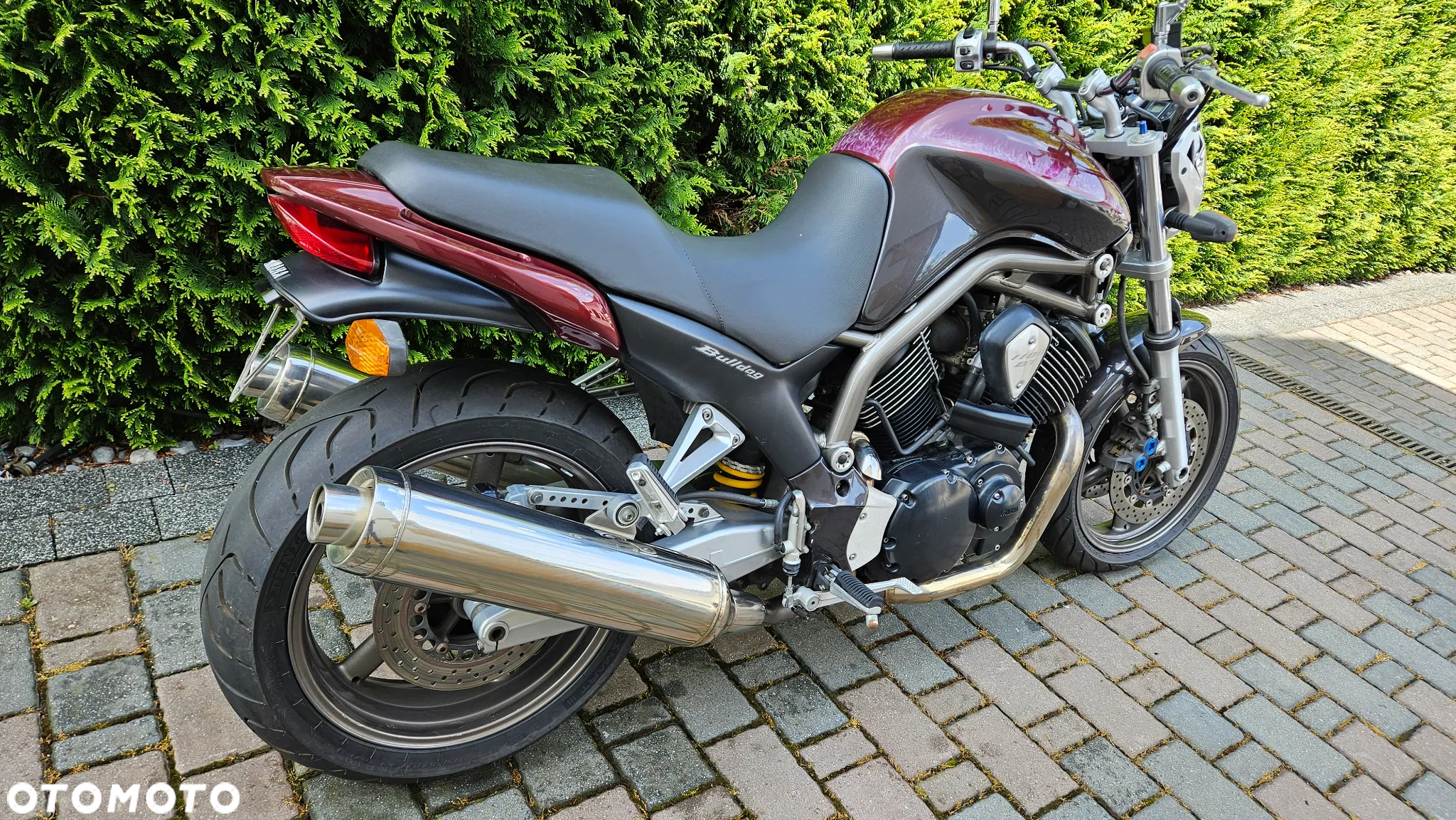 Yamaha Bulldog - 3