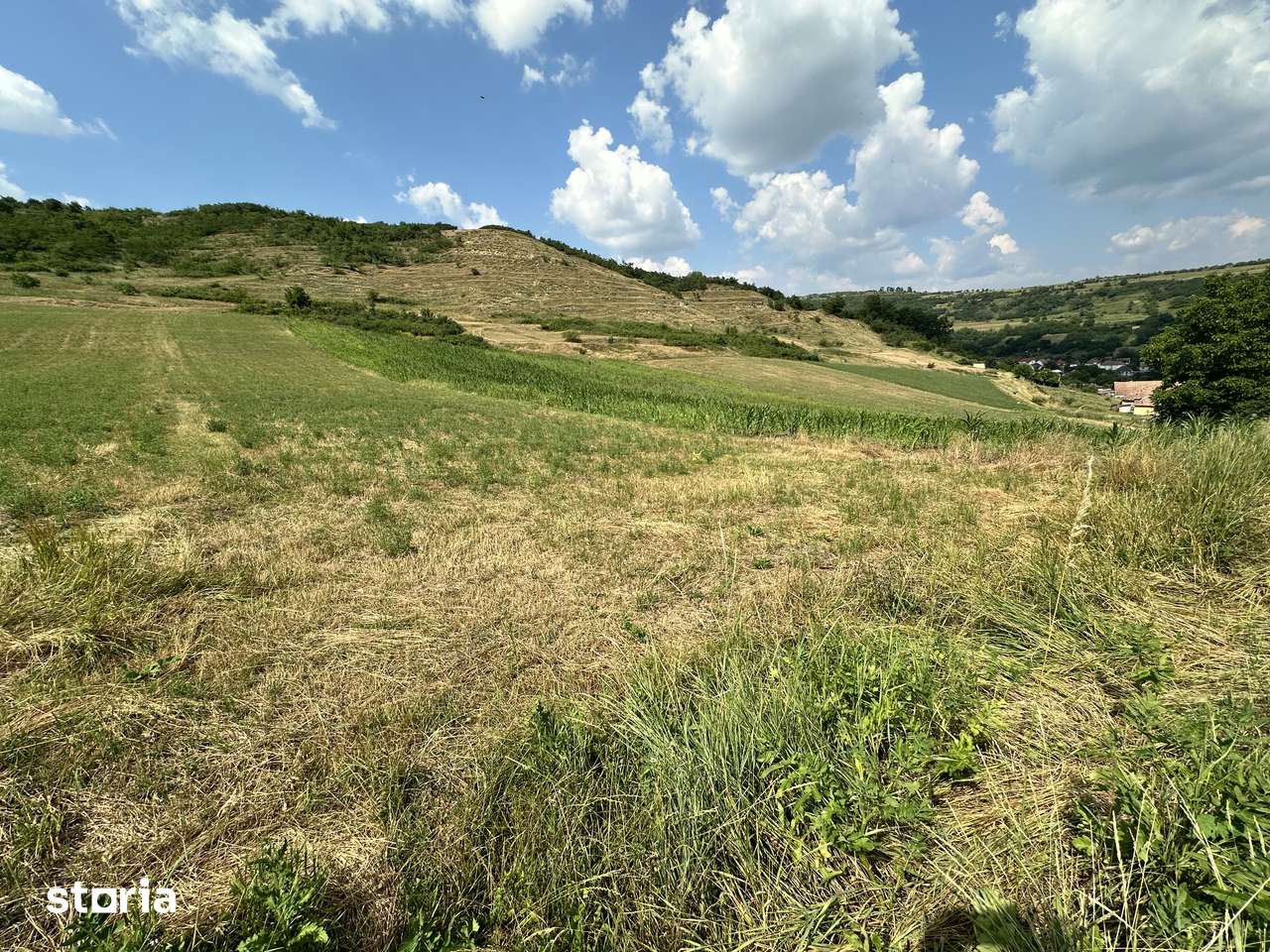 Terenuri intravilane DE VÂNZARE
Strada Lebedei Târnăveni - Imagine principală: 3/7