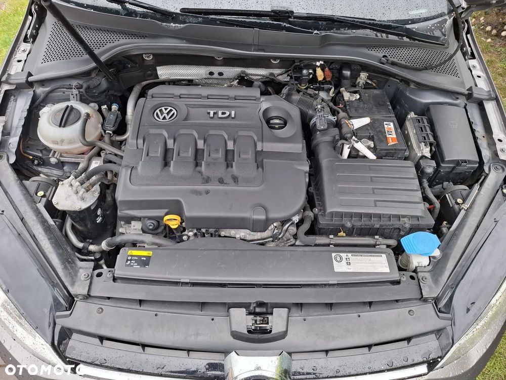 Volkswagen Golf 1.6 TDI 4Motion BlueMotion Technology Cup - 3