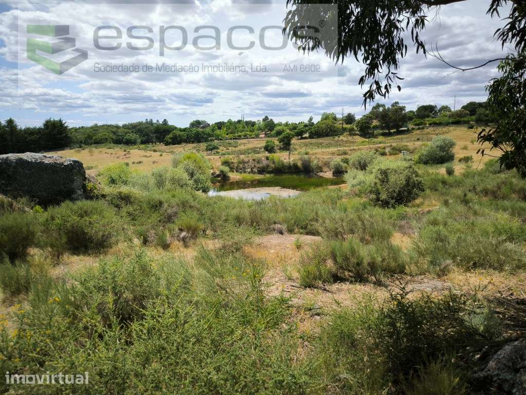 Terreno com 60.000 m² às portas da cidade de Castelo Branco - Grande imagem: 5/15