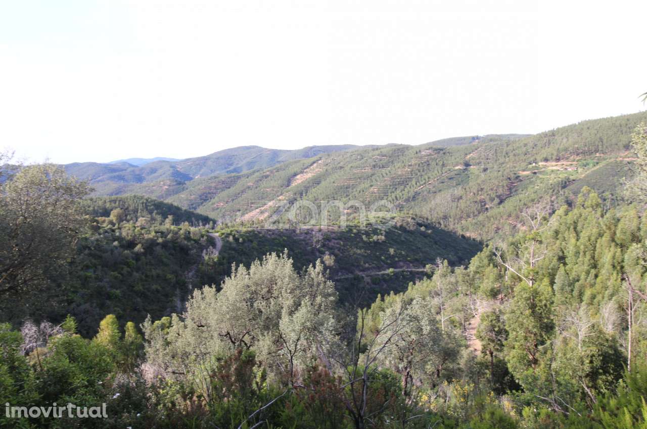 Terreno Rústico com 5.400 m² – Pontalinhos, Monchique - Grande imagem: 2/23