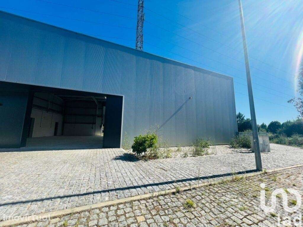 Loja / Estabelecimento Comercial em Mujães de 361,00 m2 - Grande imagem: 4/4