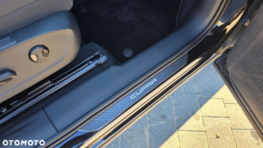 Cupra Terramar 2.0 TSI 4Drive DSG VZ - 27