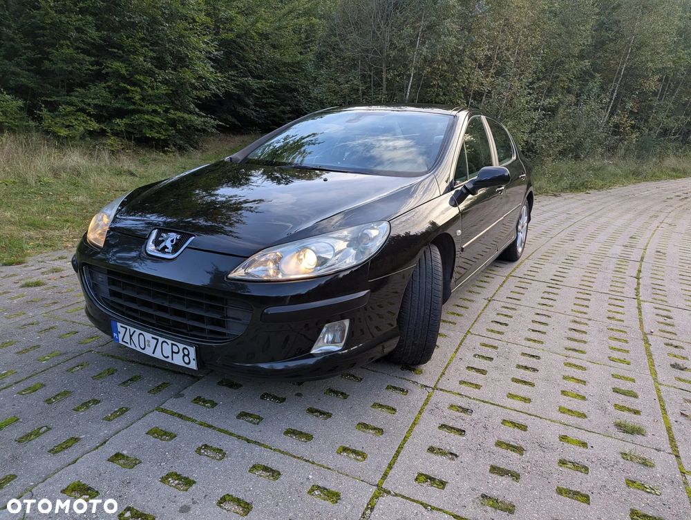 Peugeot 407 - 28