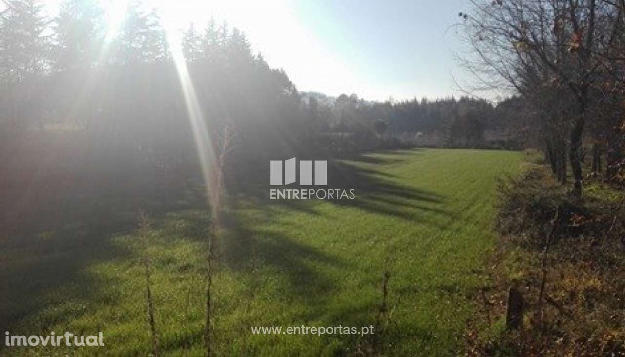 Venda Terreno, Folgosa, Maia - Grande imagem: 2/8