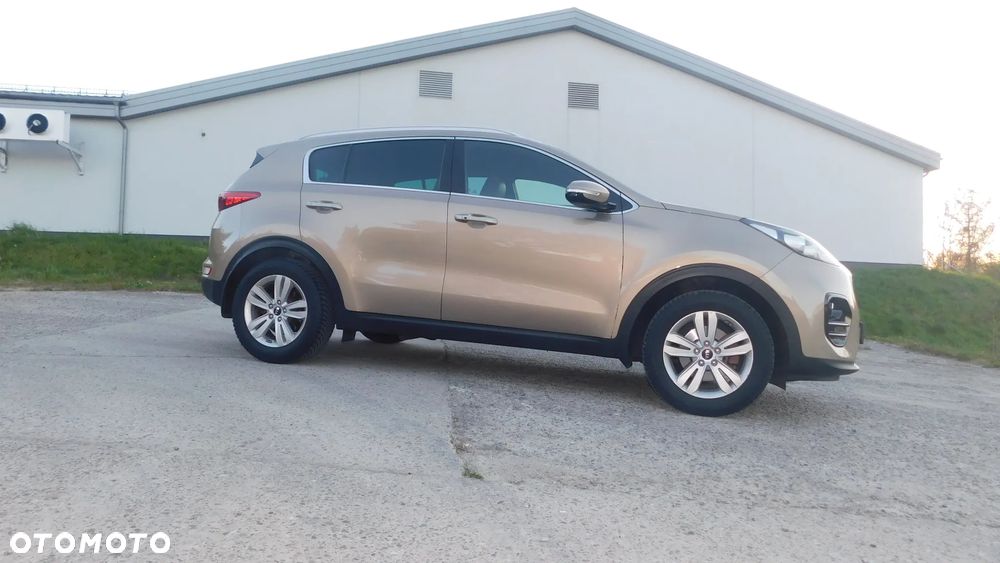 Kia Sportage 1.6 GDI L Business Line Plus 2WD - 14