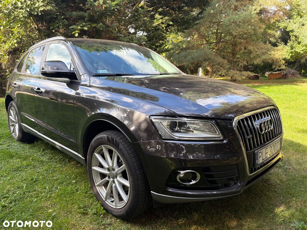 Audi Q5 - 2
