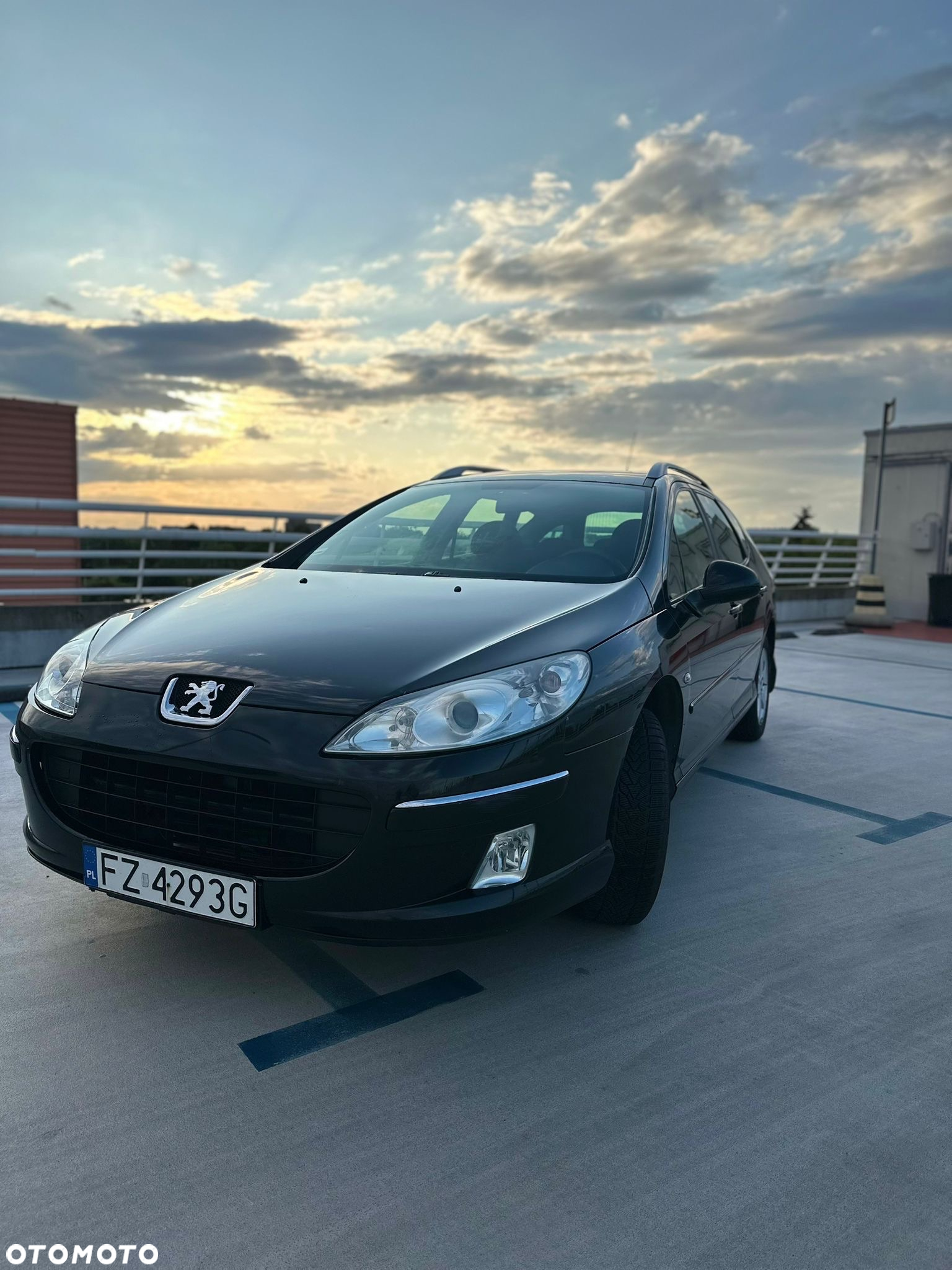Peugeot 407 - 17
