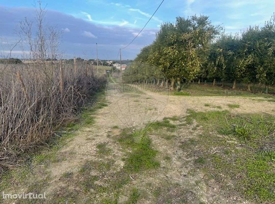 Moradia T3 para venda - Grande imagem: 2/10