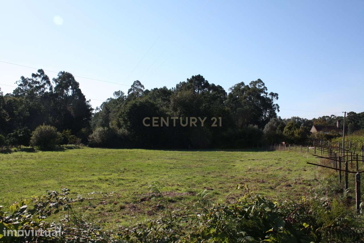 Terreno para construção em Campos – Vila Meã, Vila Nova de Cerveira - Grande imagem: 3/7