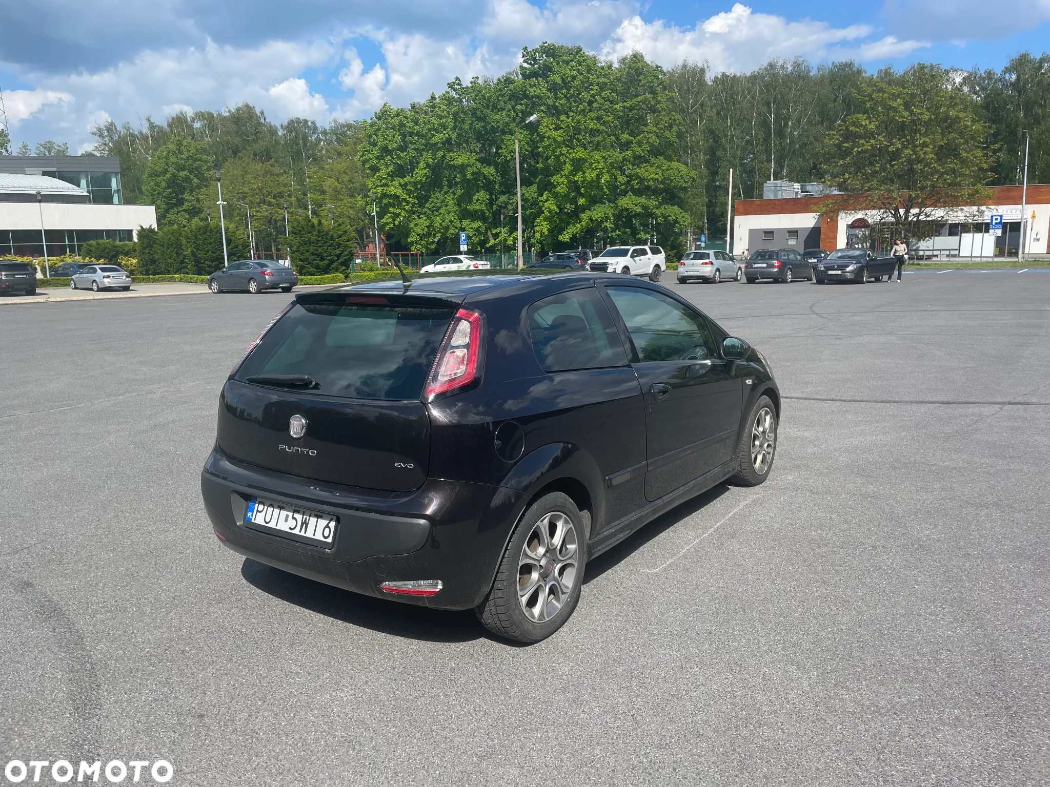 Fiat Punto Evo 1.3 Multijet 16V Dynamic - 5