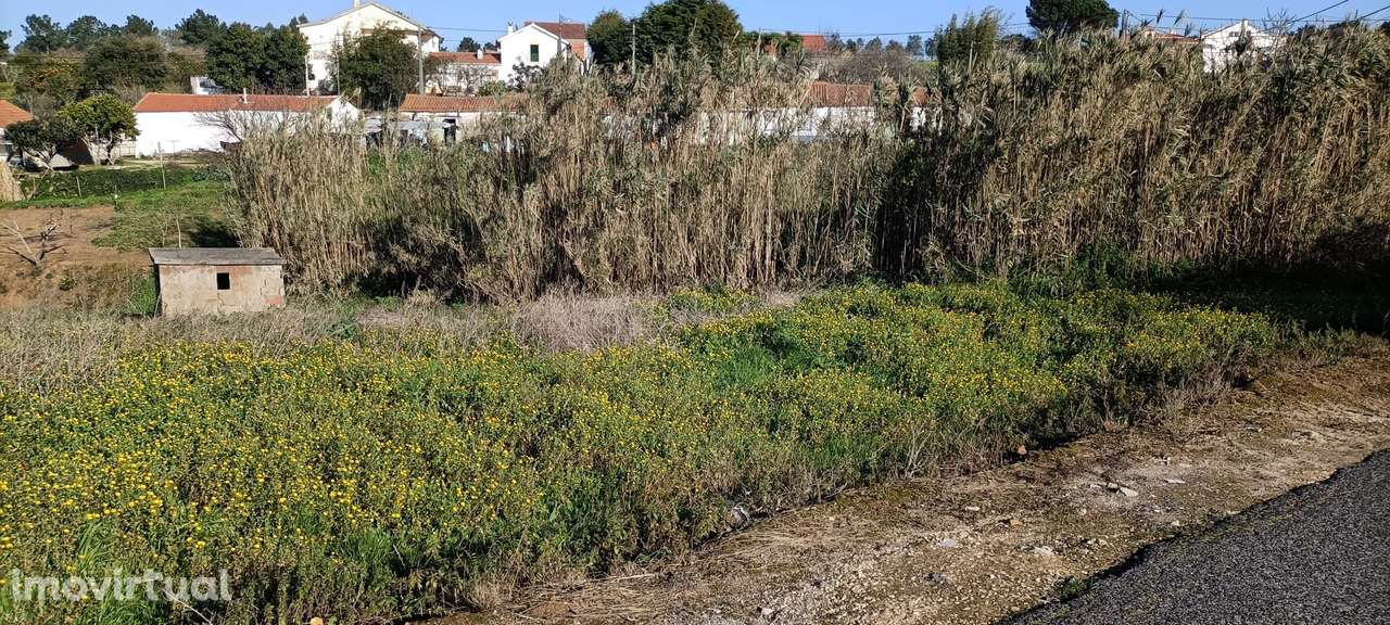 Terreno Vestiaria Alcobaça-Leiria-p/ construção - Grande imagem: 2/11