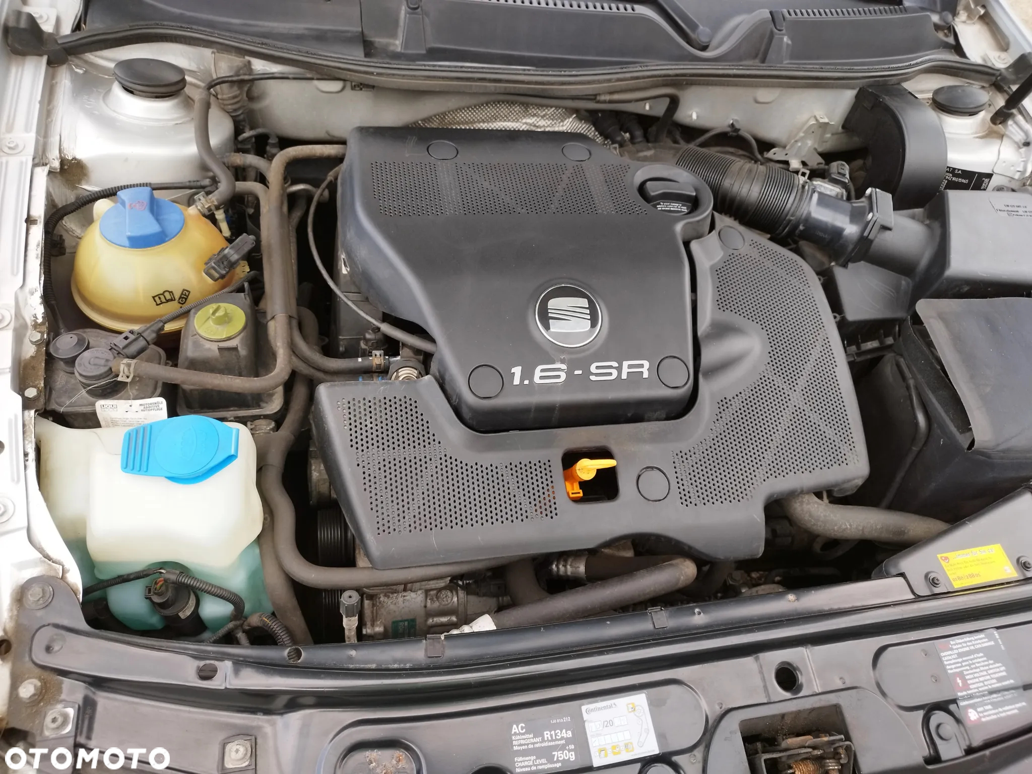 Seat Leon - 24