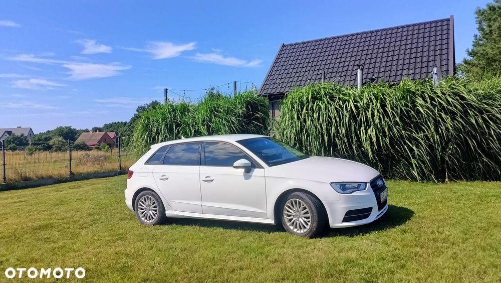 Audi A3 Sportback 1.6 TDI Sport - 1