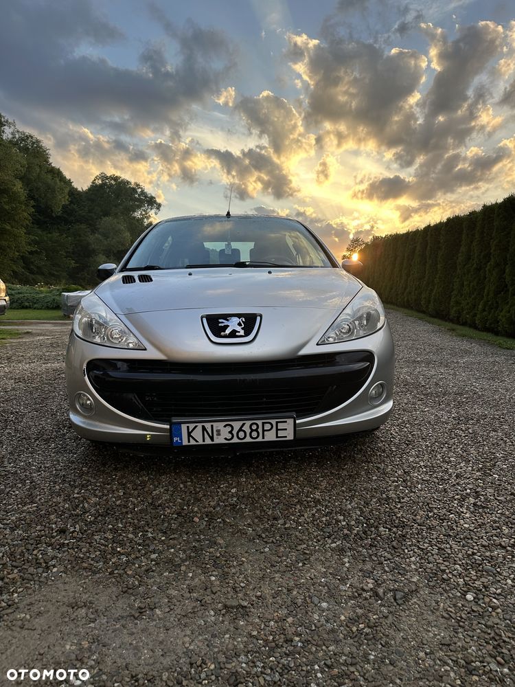 Peugeot 206 plus - 3