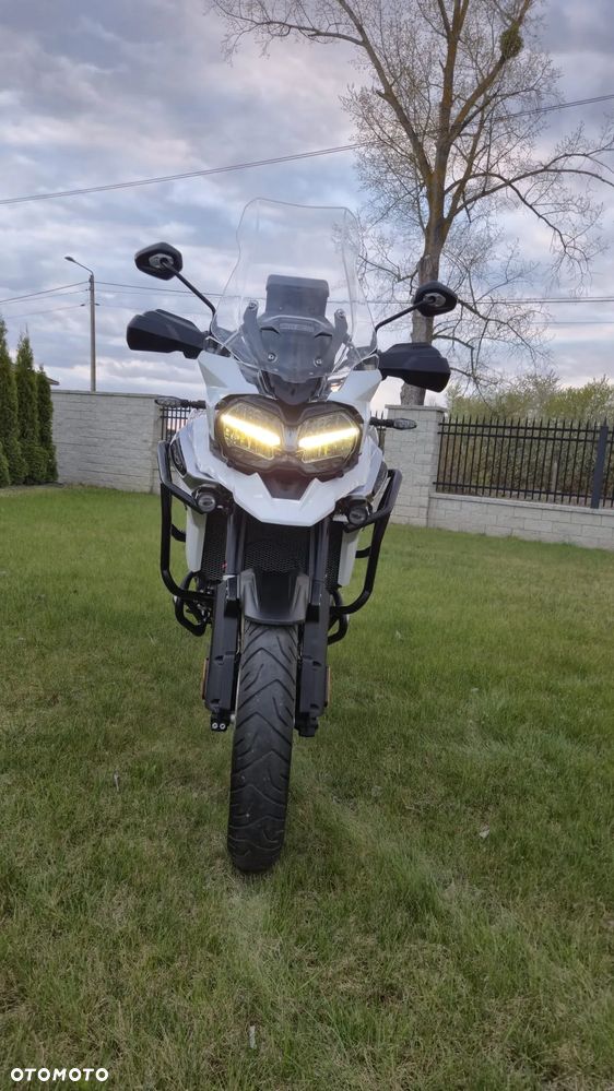 Triumph Tiger - 5