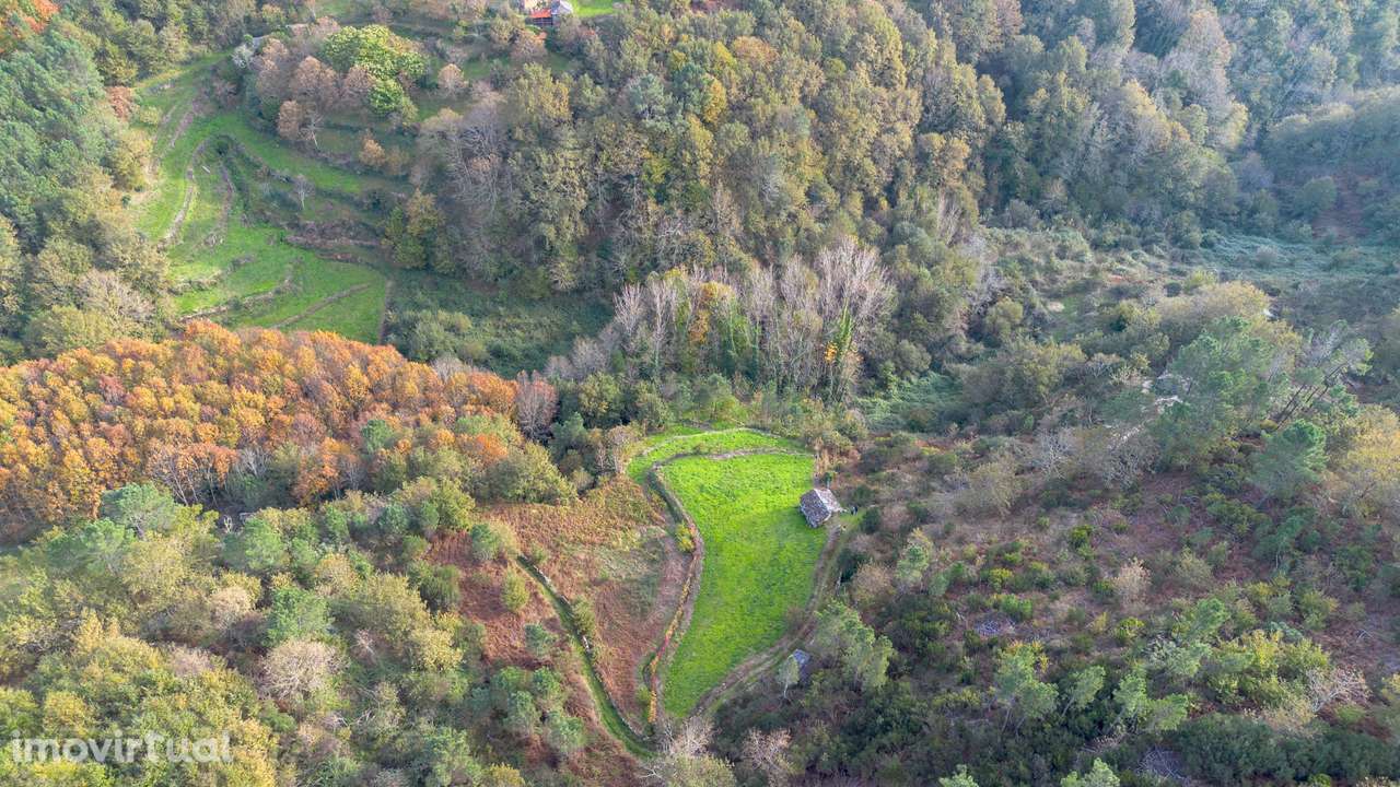 Terreno  Venda em Ansiães,Amarante - Grande imagem: 5/10