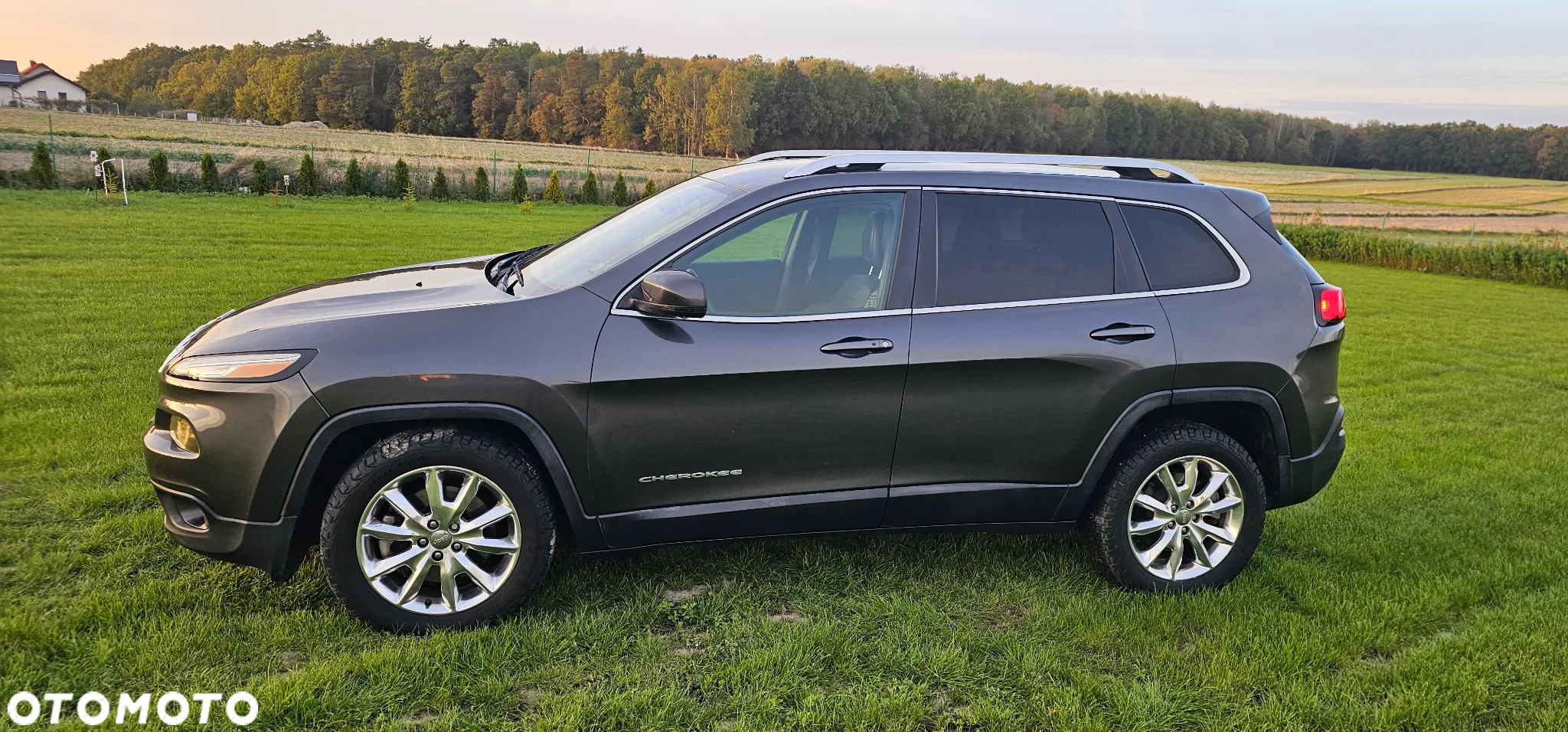 Jeep Cherokee 3.2 V6 Active Drive I Limited - 6