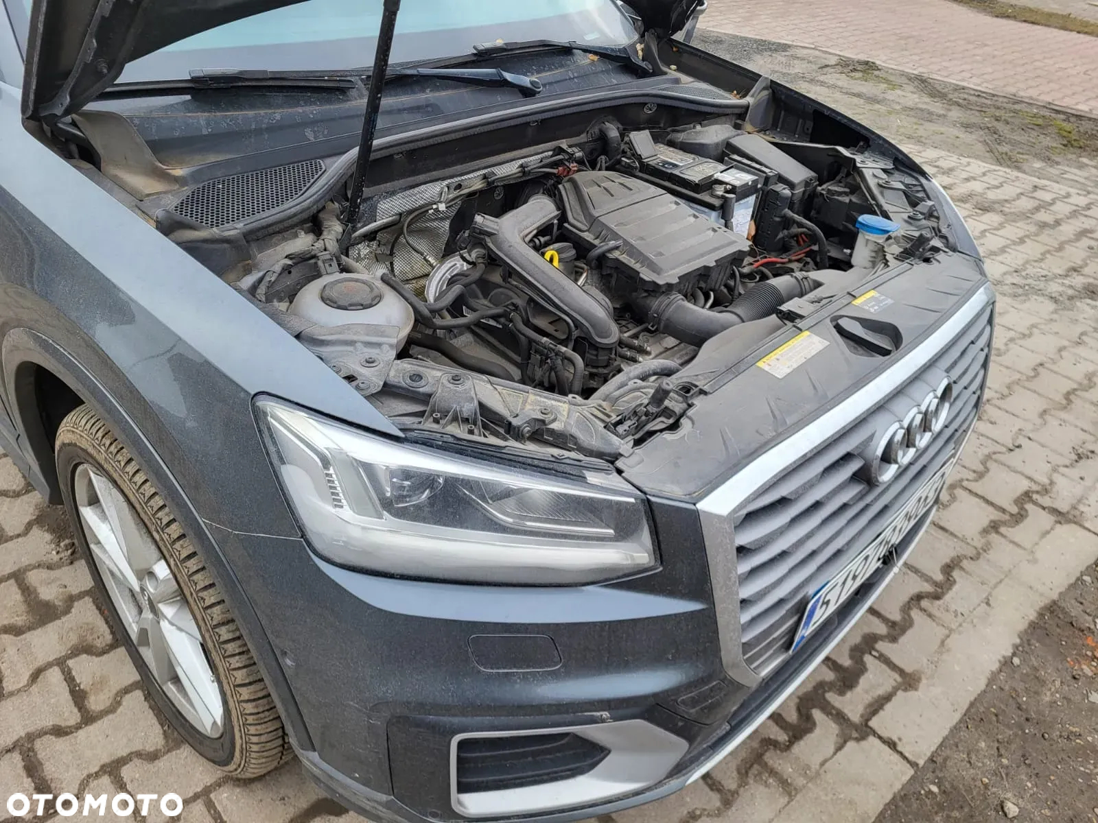 Audi Q2 1.0 TFSI S tronic - 13