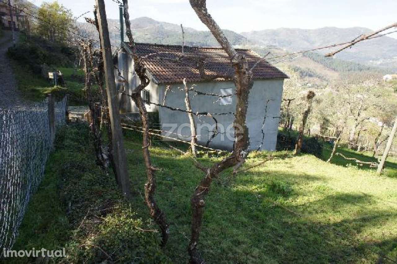 Moradia, 82 m², Cerva e Limões - Grande imagem: 3/58